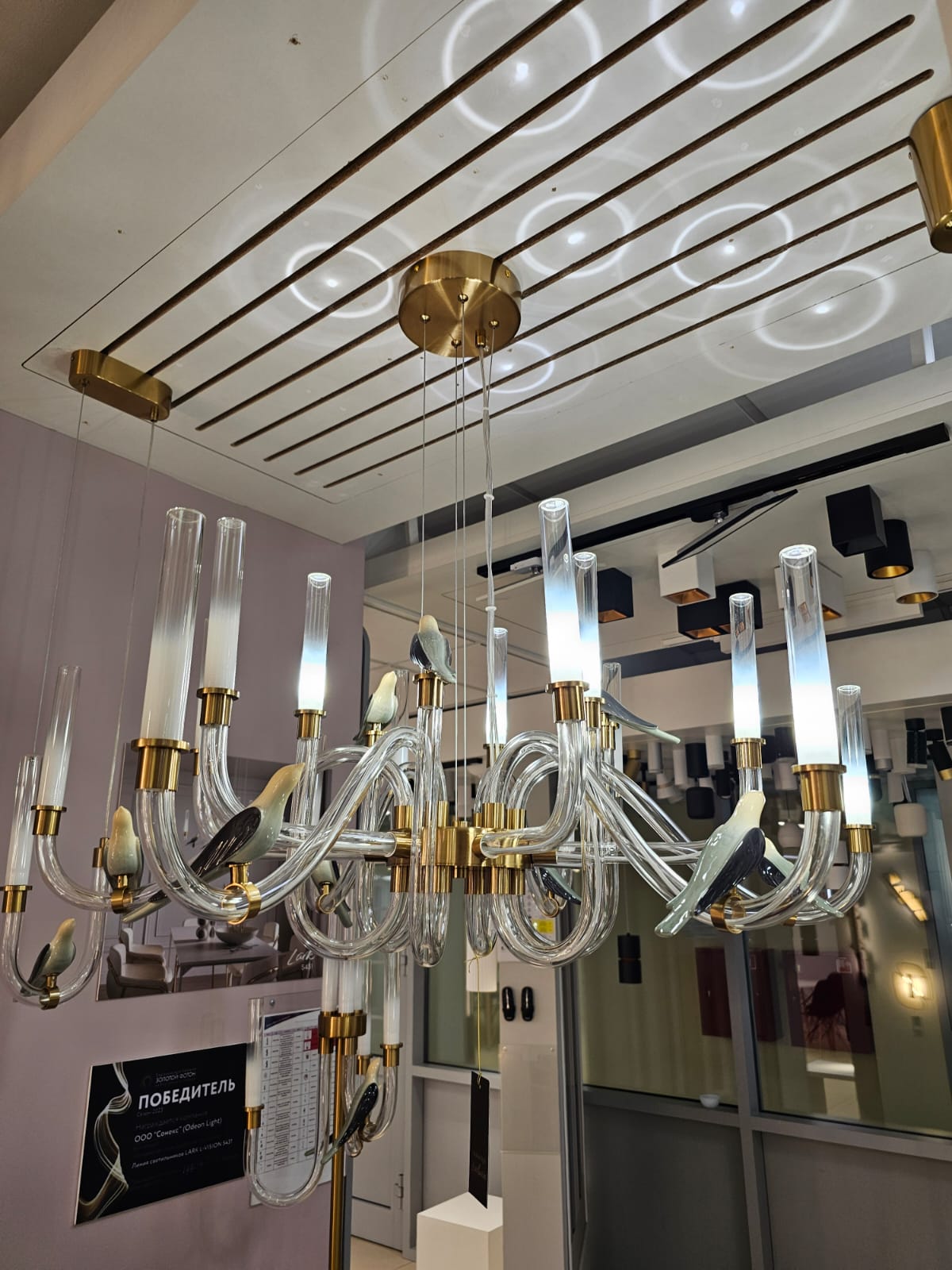 подвесная светодиодная люстра odeon light l-vision lark 5431/30l