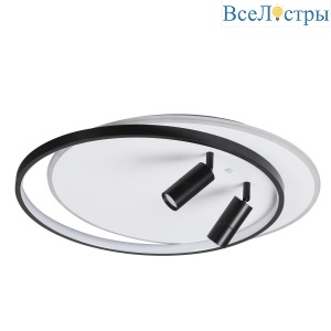 Потолочная светодиодная люстра Lumion Naoko 5603/75CL