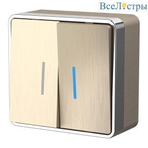 Выключатель двухклавишный с подсветкой Werkel Gallant шампань рифленый W5020110 4690389164200