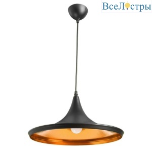 Подвесной светильник Arte Lamp Cappello A3406SP-1BK