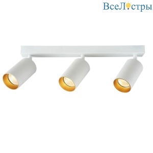 Спот Brizzi Aras BR08088