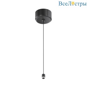 Тросовый подвес с потолочной чашей Maytoni Shelf CA029SW-L1000-B