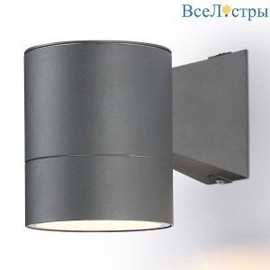 Уличный настенный светильник Ambrella Light Garden ST3301