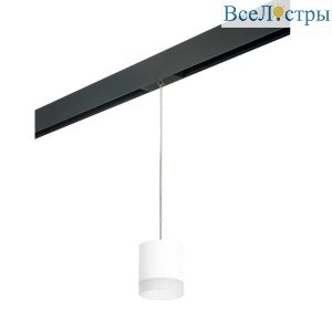 Трековый светильник Lightstar Rullo (213486+595887+202480) PRORP348680