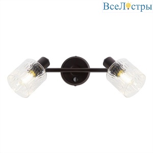 Спот Citilux Артик CL510525