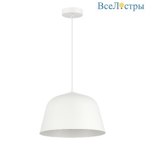 Подвесной светильник Evoluce Blank SLE1805-503-01
