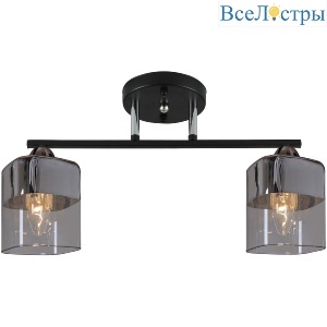 Потолочный светильник Reluce 07275-0.3-02