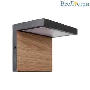 Уличный настенный светодиодный светильник Loft IT Oak 100001W