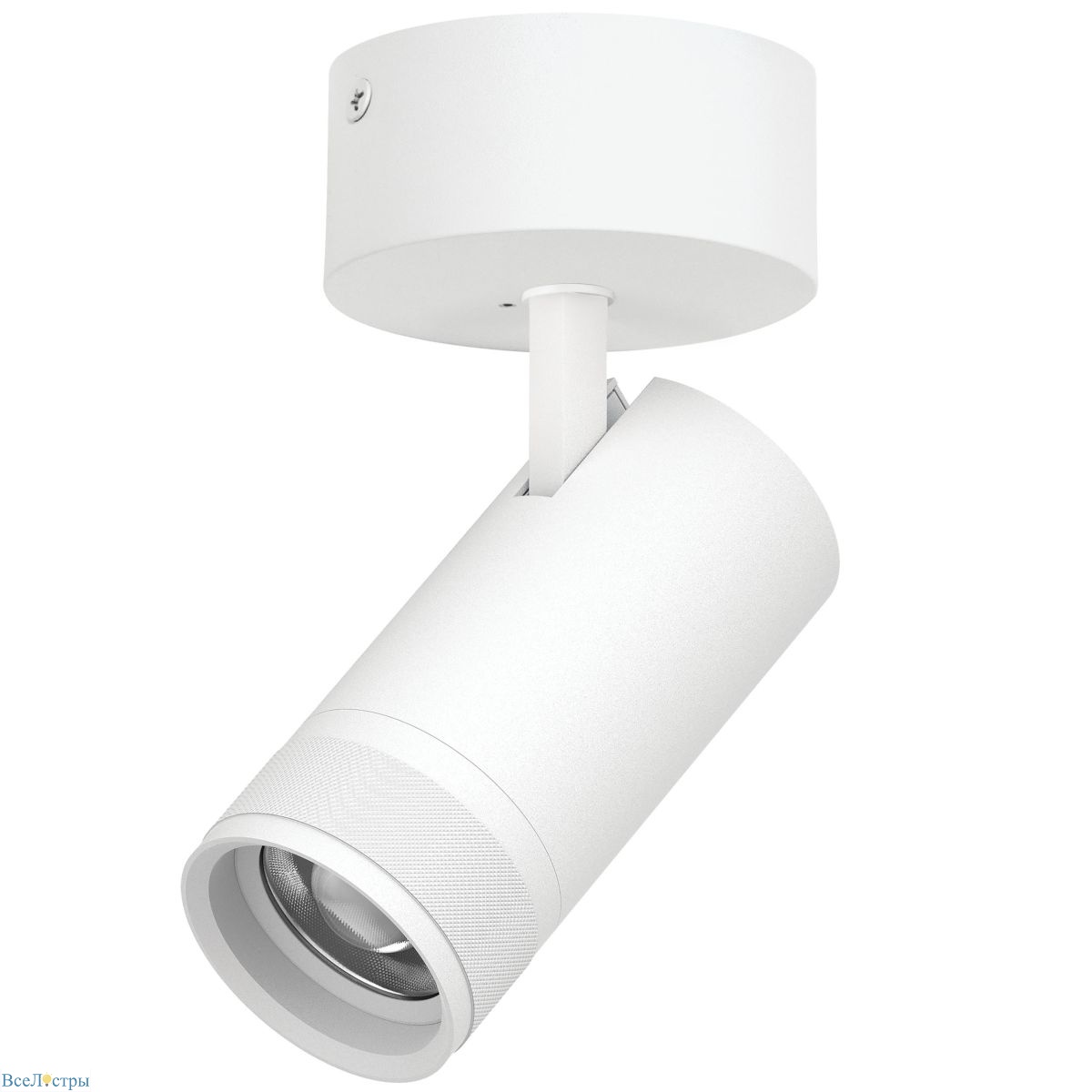 накладной светильник 20-55g с адаптером lightstar canno pro c4306so
