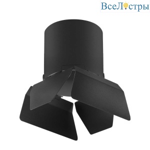 Потолочный светильник Lightstar Rullo (213487+202487) R3487487