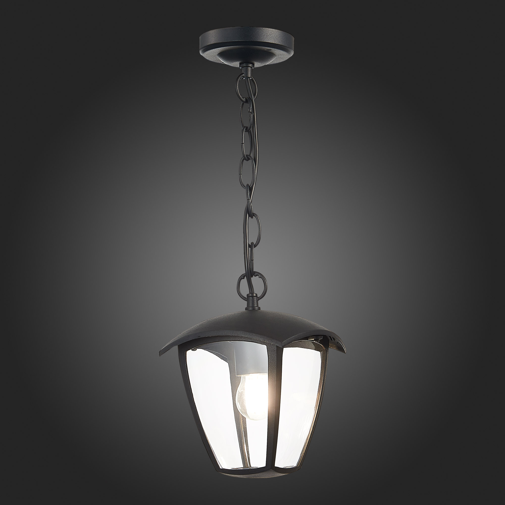 уличный подвесной светильник st luce sivino sl081.403.01