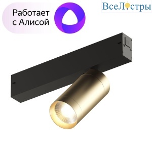 Трековый светодиодный светильник Denkirs Smart Spot DK8010-BG