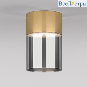 Потолочный светодиодный светильник Elektrostandard Lumen 25047/LED 10W 4000К латунь/дымчатый a064708