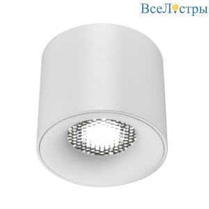 Накладной светильник ST Luce ST761.533.10