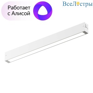 Трековый светодиодный светильник Denkirs DK8004-WH