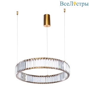 Подвесной светодиодный светильник Divinare Renata 1135/17 SP-25