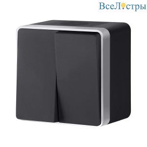 Выключатель двухклавишный влагозащищенный Werkel Gallant (черный с серебром) W5020234 4690389164279 a051154
