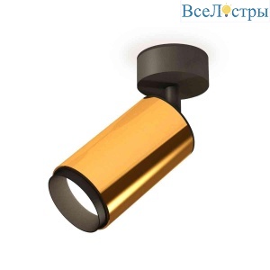 Комплект накладного светильника Ambrella light Techno Spot XM6327021 PYG/PBK золото желтое полированное/черный полированный (A2210, C6327, N6121)
