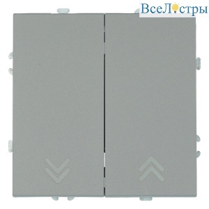Выключатель 2-клавишный самовозвратный (механизм) Stekker Эмили 250В 10А RSW10-5113-10 платиново-серый soft touch 50329