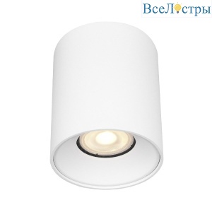 Накладной светильник ST Luce ST167.502.01