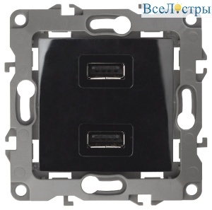 Розетка USB Эра 12-4110-06 Б0027496