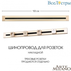 Накладной шинопровод Arte Milano Am-track-sockets 382301TO/100 Gold