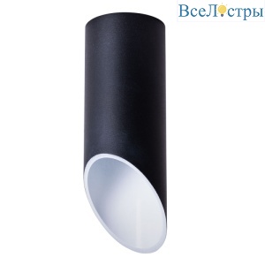 Потолочный светильник Arte Lamp Pilon A1615PL-1BK