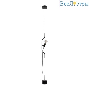 Подвесной светильник Loft IT Parentesi 10346/1 Black