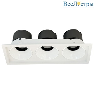 Встраиваемый светильник Wertmark Dorsum WTD.O21.000.30.30