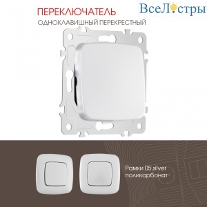 Переключатель одноклавишный перекрестный Arte Milano 205.34-1.silver