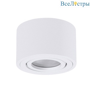 Накладной светильник Arte Lamp Unito A0550PL-1WH