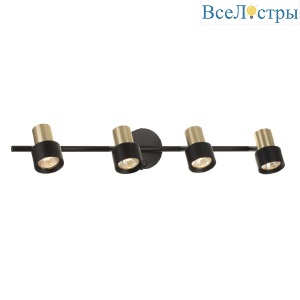 Спот Citilux Sat CL505641