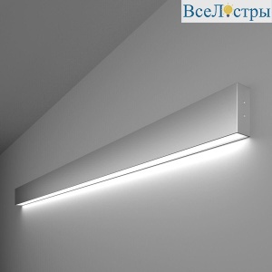 Настенный светодиодный светильник Elektrostandard LSG-02-1-8 128-21-6500-MS 4690389129322