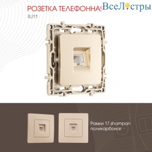 Розетка телефонная RJ11 Arte Milano 217.51-1.shampan