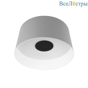 Потолочный светодиодный светильник Loft IT Duo 10360M Grey