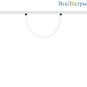 Трековый магнитный светильник Arlight MAG-ORIENT-TUBE-ELASTIC-2620-R30-L1000-14W Day4000 (BK, 360 deg, 48V) 041643
