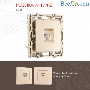 Розетка RJ45 Arte Milano 217.45-1.shampan