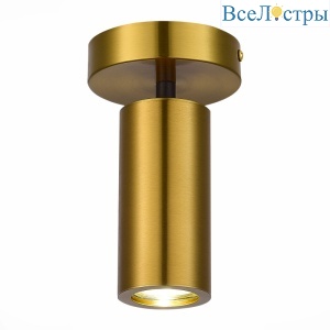 Потолочный светильник ST Luce Talia SL1215.402.01