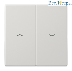 Клавиша для жалюзийного выключателя JUNG LS 990 LS995PLG