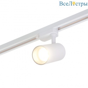 Трековый светильник Denkirs DK6040-WH