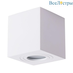 Накладной светильник Arte Lamp Galopin A1461PL-1WH