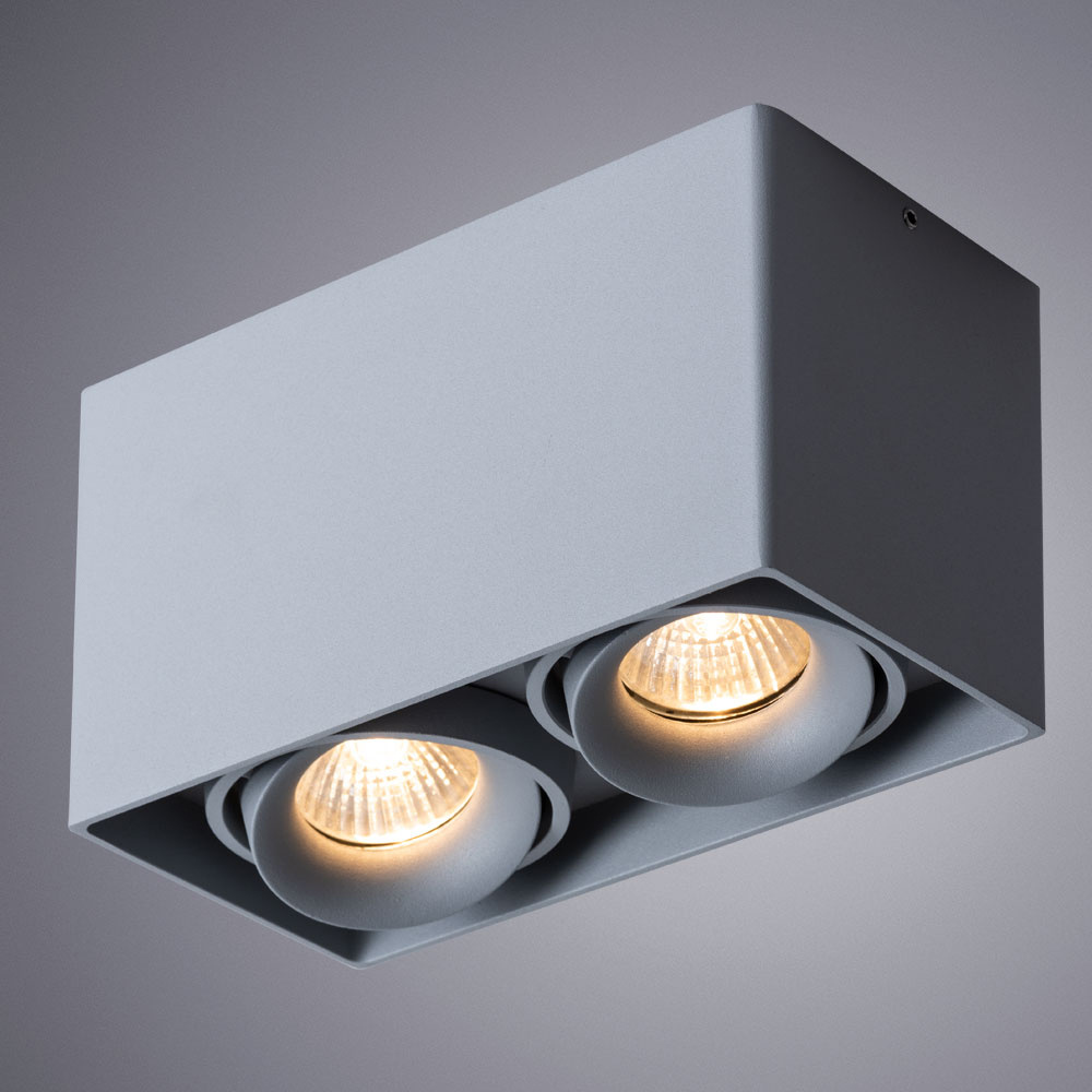 потолочный светильник arte lamp pictor a5654pl-2gy