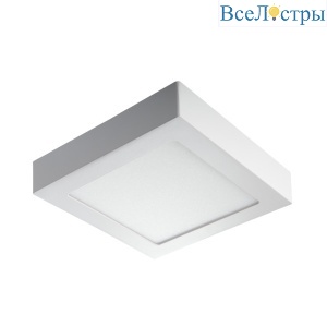 Накладной светильник Kanlux Kanti V2LED 12W-NW-W 28950