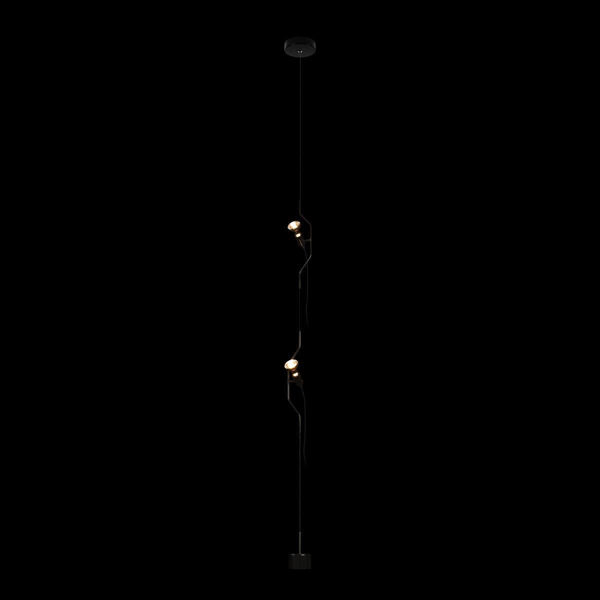 подвесной светильник loft it parentesi 10346/2 black