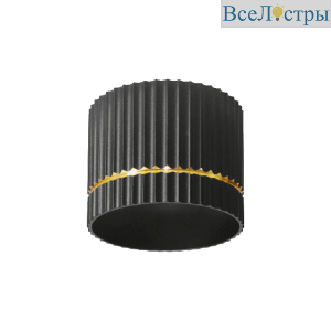 Накладной светильник Wolta Nimb WSL-GX53/18BG