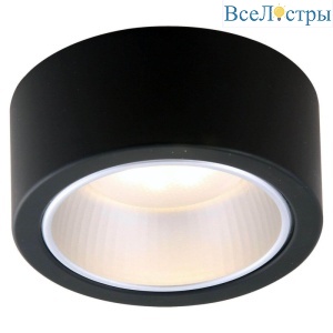 Потолочный светильник Arte Lamp Effetto A5553PL-1BK