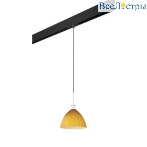 Трековый светильник Lightstar Agola (810023+595007) PRO810023