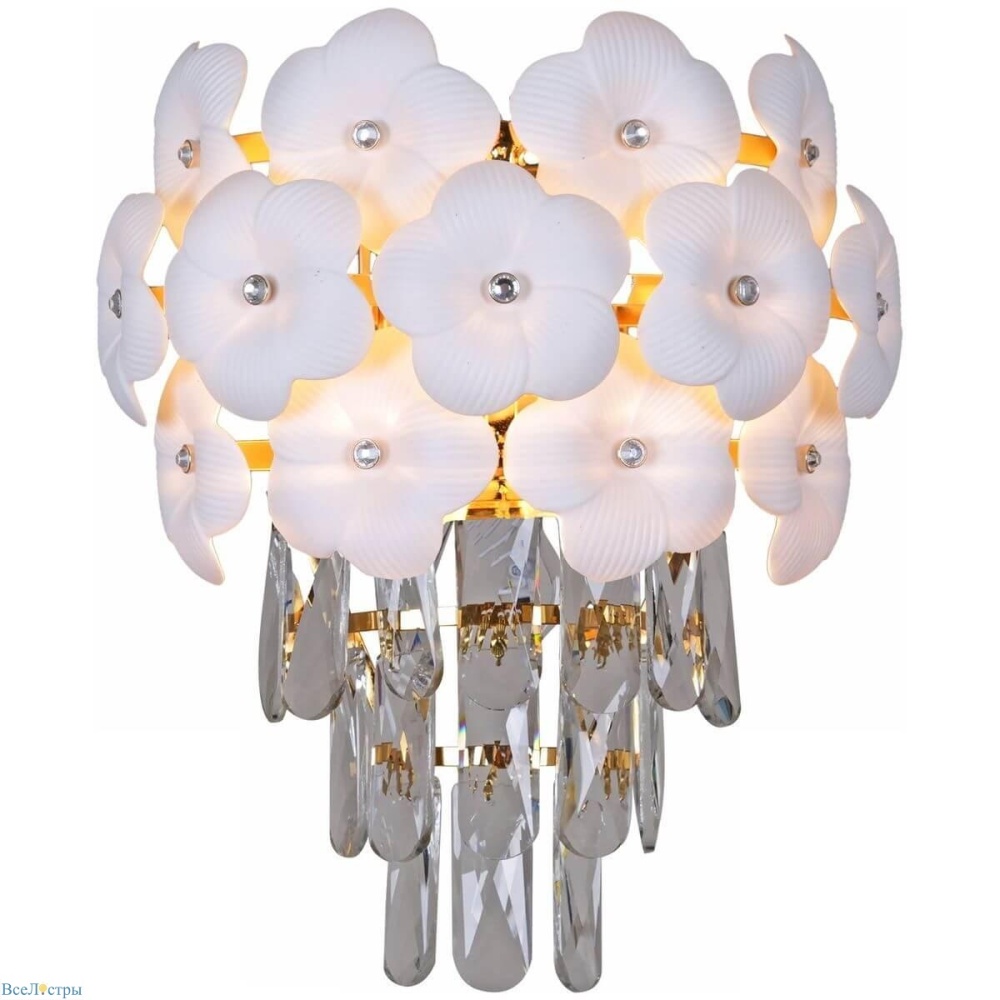 IL8139 Illumico