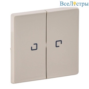 Лицевая панель Legrand Valena Life выключателя двухклавишного с подсветкой слоновая кость 755221