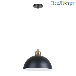 Подвесной светильник Arte Lamp Recinto A7053SP-1BK
